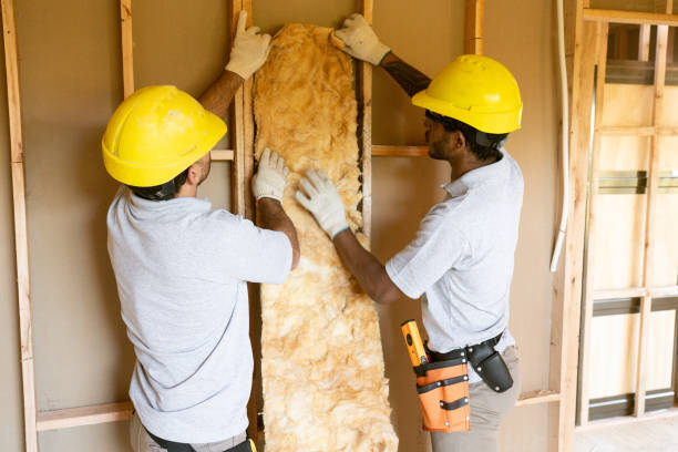 Insulation Air Sealing in Brookneal, VA